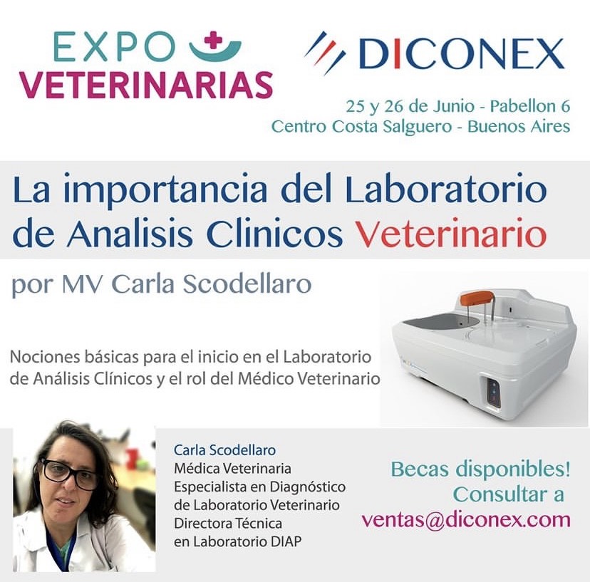 Costa Salguero Centre - Buenos Aires

Diconex is pioneer in Veterinarian Laboratory; our analyzers are installed in the main Veterinarian Laboratories in the country, handled by the best professionals in the area, for over 10 years.